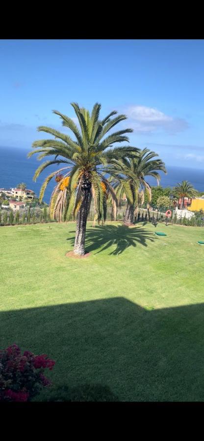 Vista Mar Azul Elegante Y Acogedor Apartman Santa Úrsula Kültér fotó